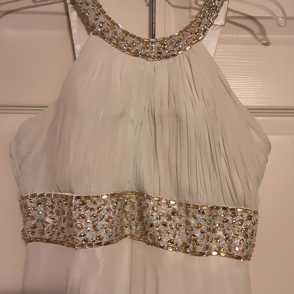 Runway Renegade Elegant Lite Green with Gold Embellished Dress, Worn Once